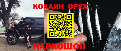 шишки Заволжье