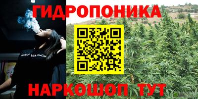 mdma Заводоуковск