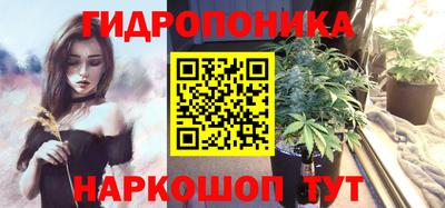 индика Ипатово