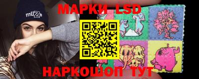 шишки Заволжье