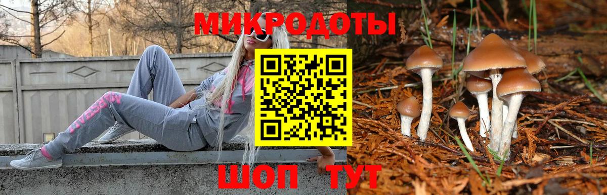 Псилоцибиновые грибы GOLDEN TEACHER  что такое   Зеленодольск  Вход с VPN  Галлюциногенные грибы прущие грибы 
