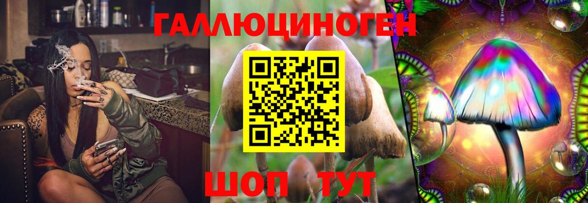 Галлюциногенные грибы Psilocybine cubensis Зеленодольск